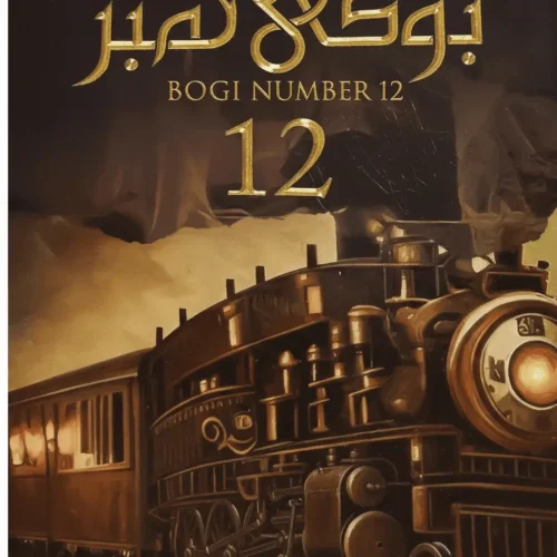 bogi number 12 Urdu Novel by Mehrulnisa Shahmeer